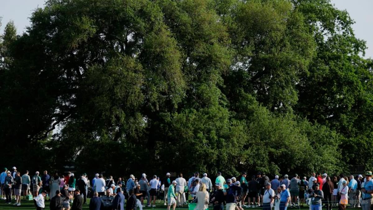 At the Masters, Augusta National's oak tree is where the golf does its deals