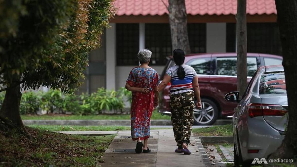 'Not just housekeeping': MOM to expand care options as MP calls for levy changes, advanced training for maids