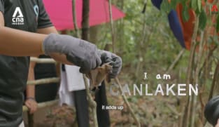 What's Coming Up - I Am Canlaken