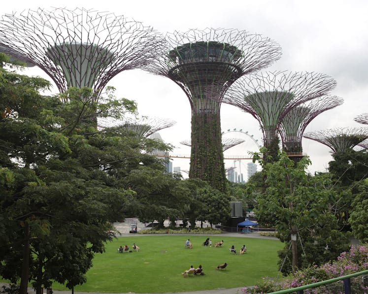 From setting emissions target to changing behaviour through procurement, public sector to lead S’pore’s green push