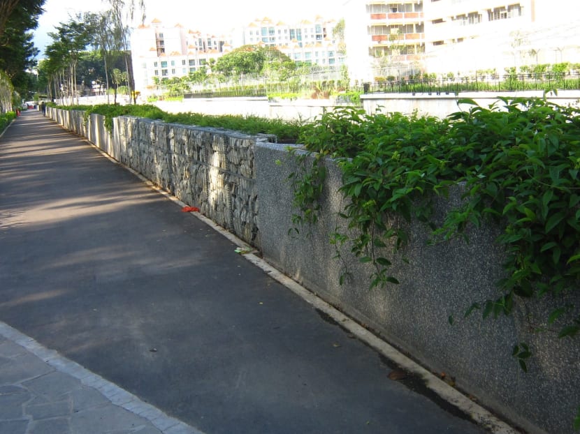 Transformed Geylang River reopens