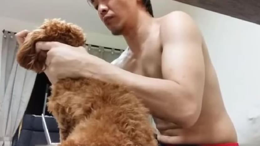 Lelaki mengaku bersalah tumbuk anjing; berulang kali pukul dengan penyangkut baju Lelaki mengaku bersalah tumbuk anjing; berulang kali pukul dengan penyangkut baju