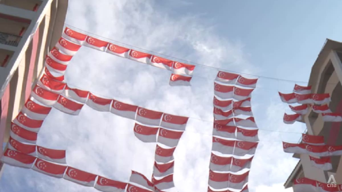 From giant flag displays to NDP rehearsals: Meet the volunteers behind Singapore's 61st birthday celebrations