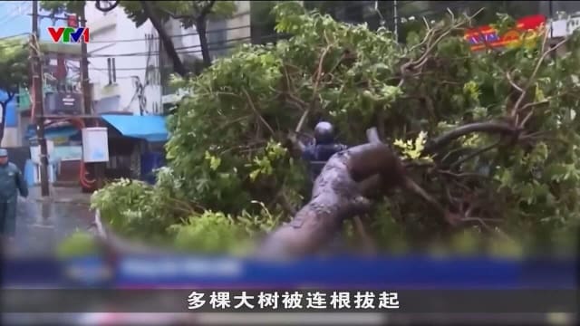 热带风暴潭美升级为台风 菲律宾：死亡人数增至上百人
