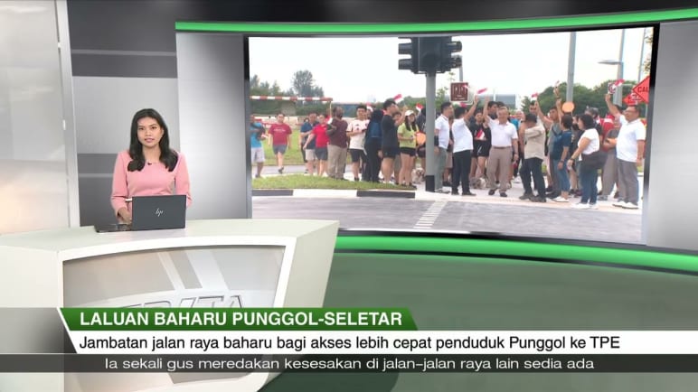 Laluan Baharu Punggol-Seletar - Penduduk kini ada akses lebih cepat ke TPE menerusi jambatan baharu