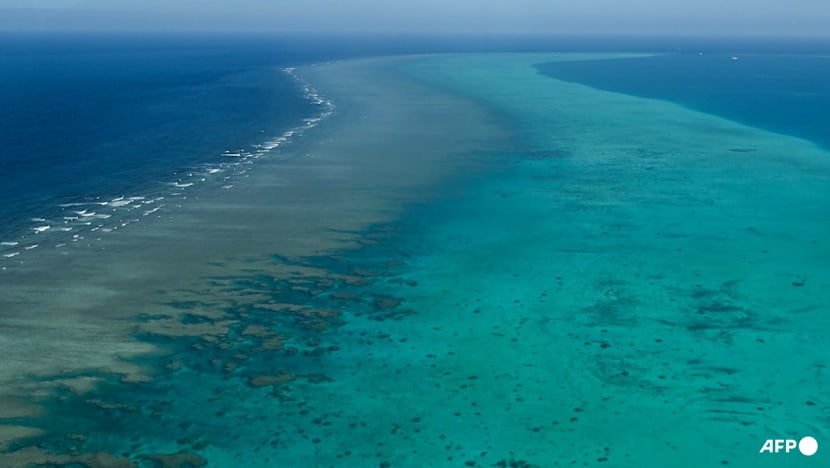 Philippines protests China's plan for nature reserve in disputed shoal
