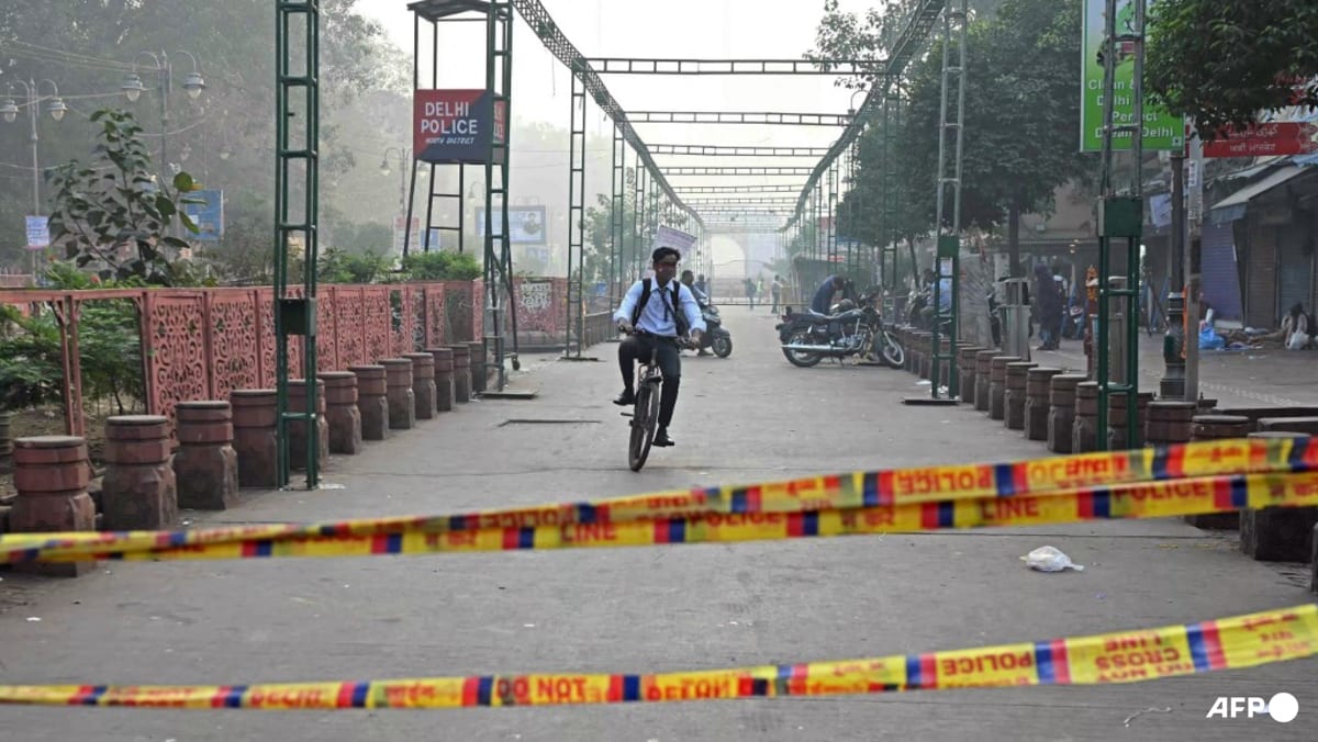 India capital car blast death toll rises to 12