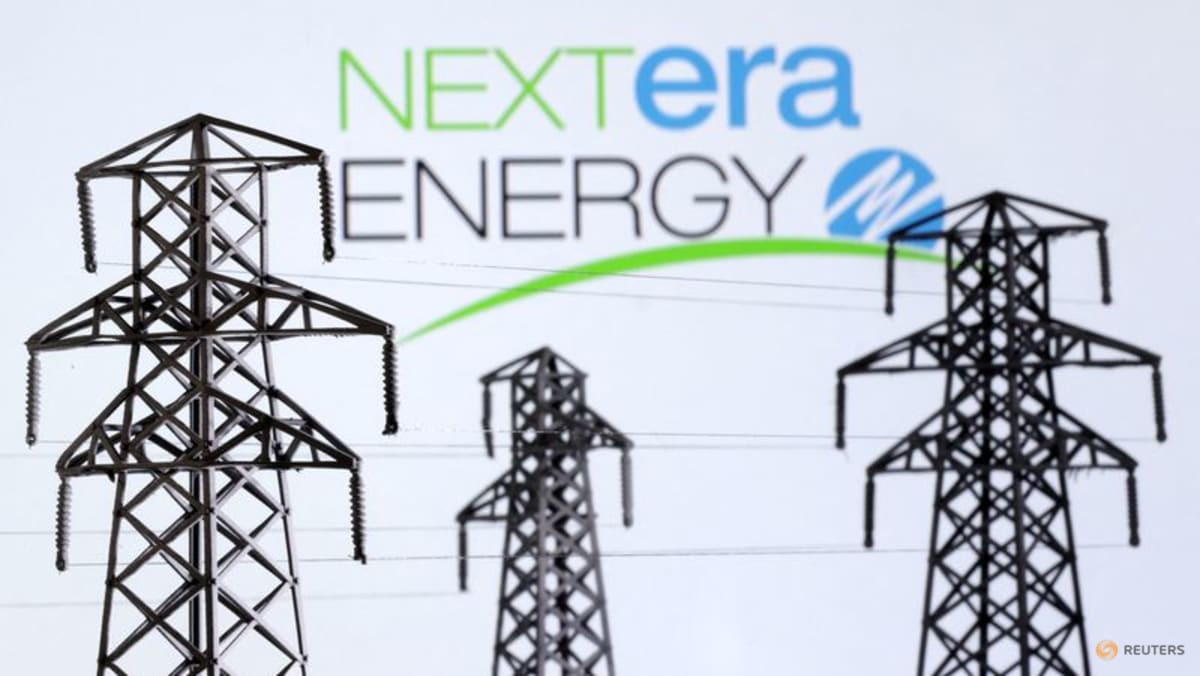 NextEra, Google speed up US knowledge heart build-out with new offers