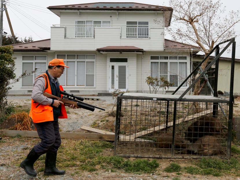Gallery: Six years after Fukushima disaster, a new danger looms: Radioactive boars