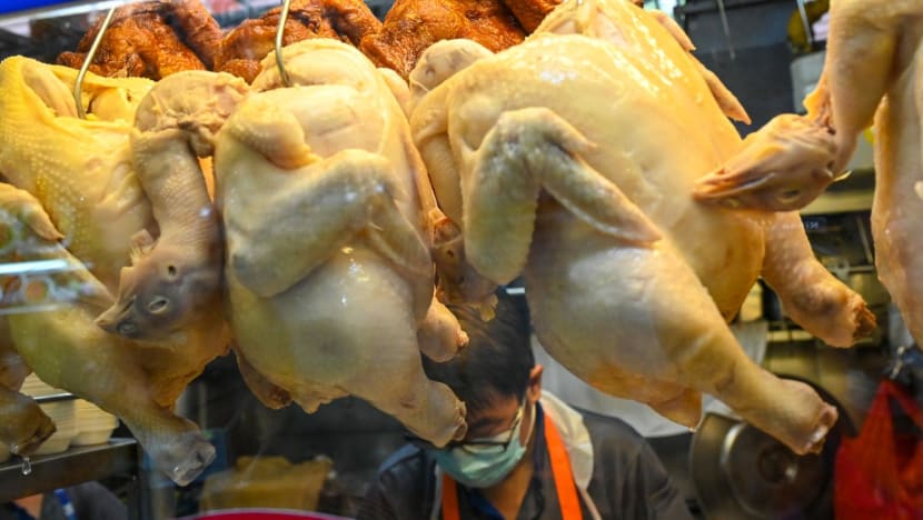 E. coli in chicken rice? Stalls are subject to more stringent checks, says SFA
