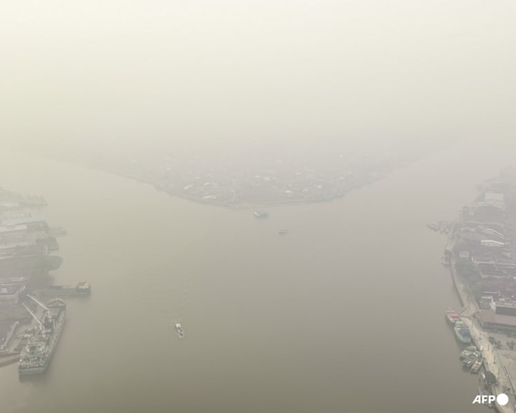 Indonesia closes 9 national parks temporarily following forest fires; prioritises firefighting in 6 provinces Indonesia closes 9 national parks temporarily following forest fires; prioritises firefighting in 6 provinces