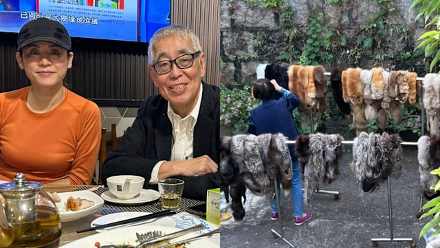 宣萱表舅蔡和平晒家中皮草收藏，惊见动物头爪惹争议！