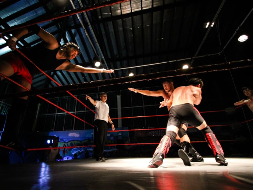 Gallery: Pro-wrestling: As real as it gets