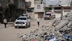 Related article image