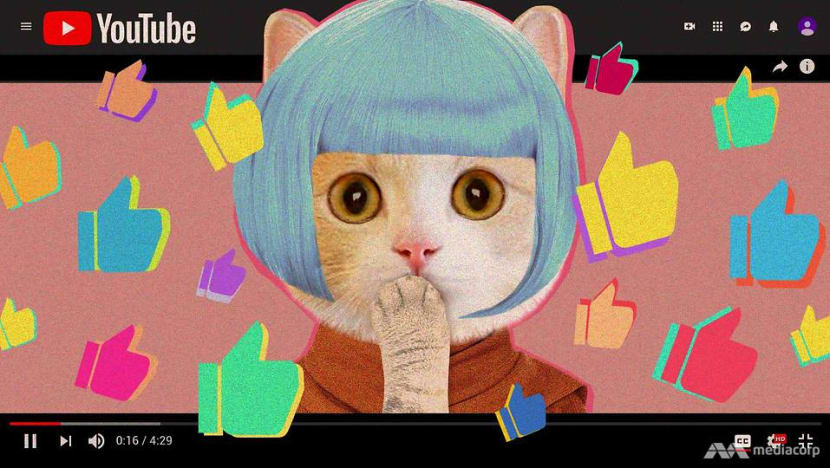 Strange, gross and kitty cats: YouTube video genres we secretly like to watch