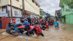 Related article image
