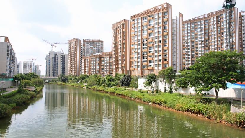 Biodiversity thriving on artificial Punggol waterway