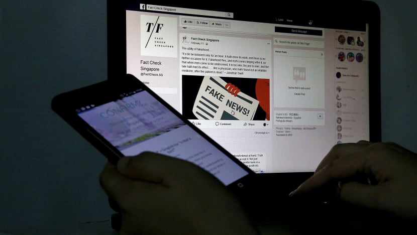 The Big Read: In the war against fake news, public needs to get in the trenches