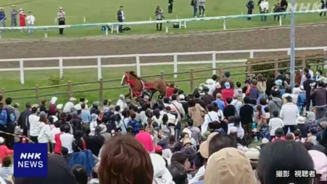 日本千年赛马庆典马儿失控 冲撞人群致六人伤