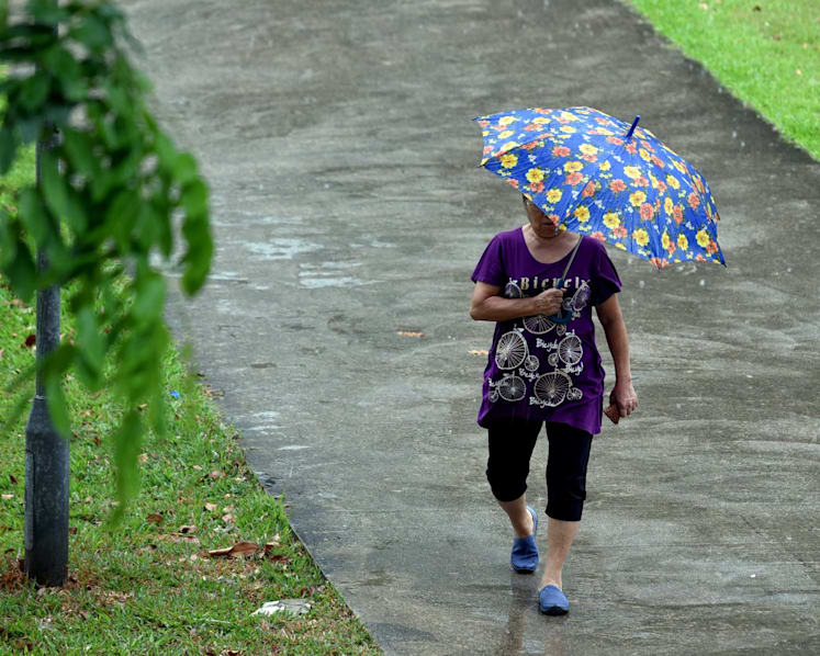 Thundery showers expected to continue into first half of March: Met Service