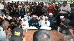 Related article image