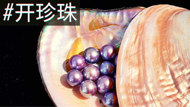 直播间开蚌挖珍珠  连章子怡都上瘾