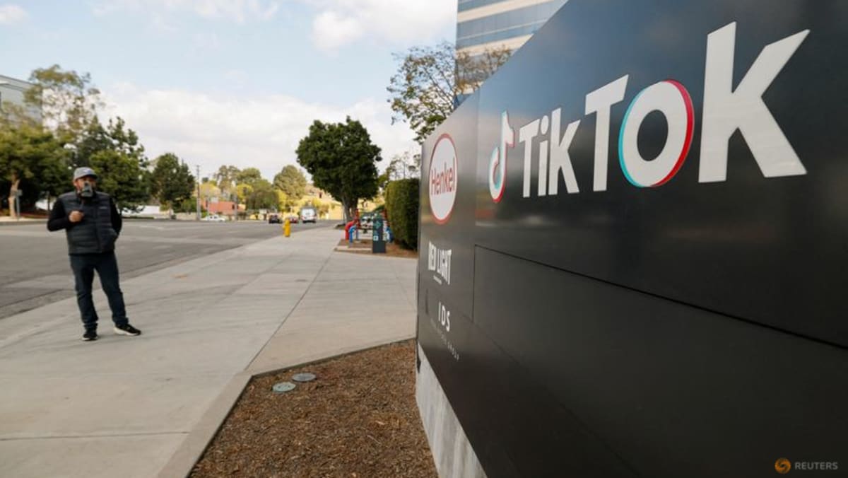 US commerce secretary says Trump really likes TikTok, but app has to move to US ownership
