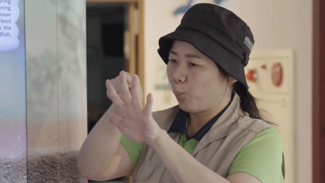 【台湾话·食四方】手游关渡　台湾手语进行式