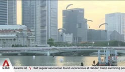 NDP 2025: Naval divers, Red Lions execute historic coordinated jump to 2 locations 