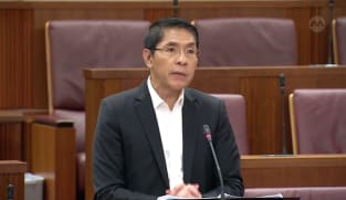 GE2025: Maliki Osman announces retirement from politics