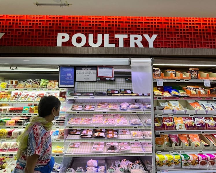 Malaysia values relationship with Singapore, hopes to resolve chicken export situation 'quickly', says Khairy