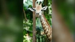 Related article image