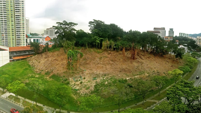 Bukit Batok hillside cleared to drive out rodents and stray dogs