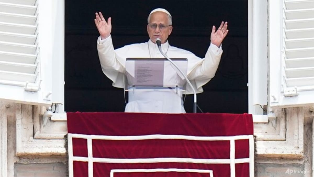 Pope calls for 'moderation' in US public discourse
