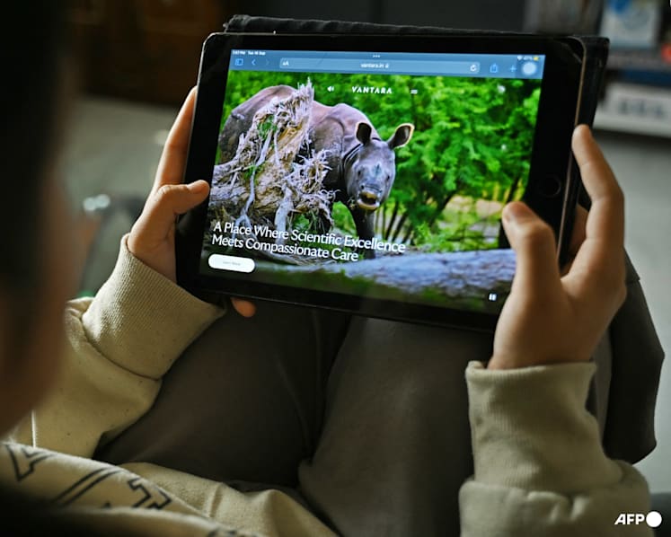 Indian tycoon's giant Vantara zoo announces 'reset', rethinks imports Indian tycoon's giant Vantara zoo announces 'reset', rethinks imports