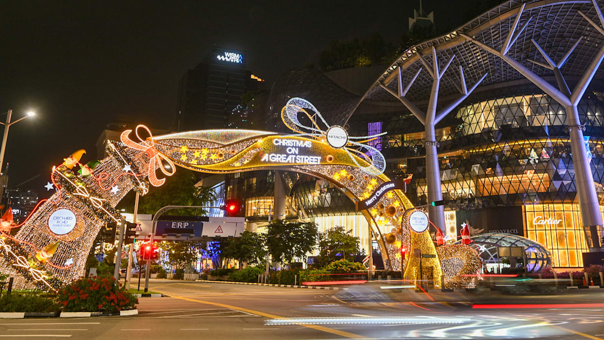 What to do in Singapore this December: Art, nature, events and staycations