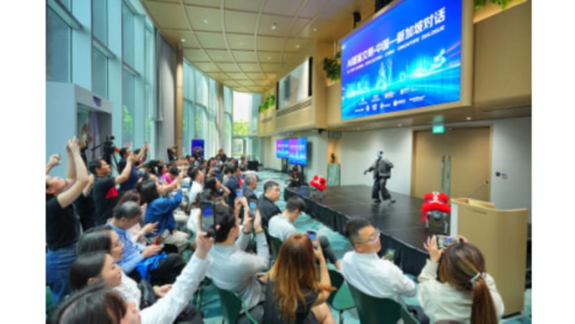 AI for Global Civilization: China-Singapore Dialogue Held in Singapore