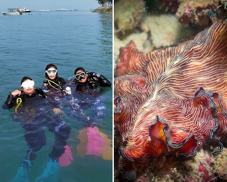 Marine community fears loss of biodiversity hotspot to proposed western island development