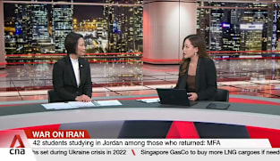 Minister of State for Foreign Affairs Gan Siow Huang on coordinating Middle East evacuation flights