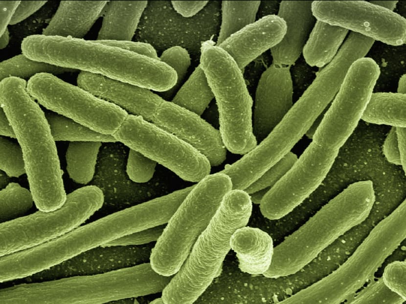 Refocusing on fighting antimicrobial resistance when the pandemic eases