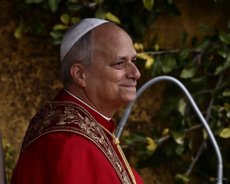  Pope Leo calls for peace initiatives during Milano Cortina Games