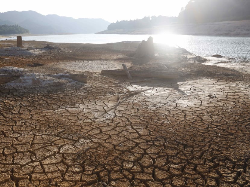 A view of Linggiu Reservoir in Johor. TODAY file photo