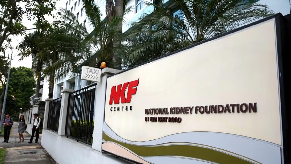 NKF on solid ground, but needs more donors in a hurry: Analysts - CNA