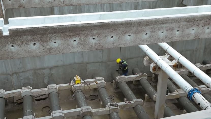 Choa Chu Kang Waterworks expansion could hurt biodiversity, but PUB 'committed' to lessen environmental damage