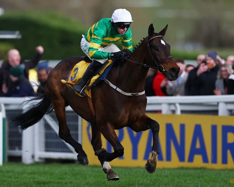 Horse racing-Unhappy Mullins threatens to stop bringing best horses to Cheltenham