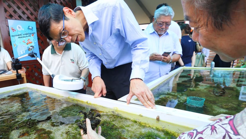 Sisters’ Island Park Public Gallery opens