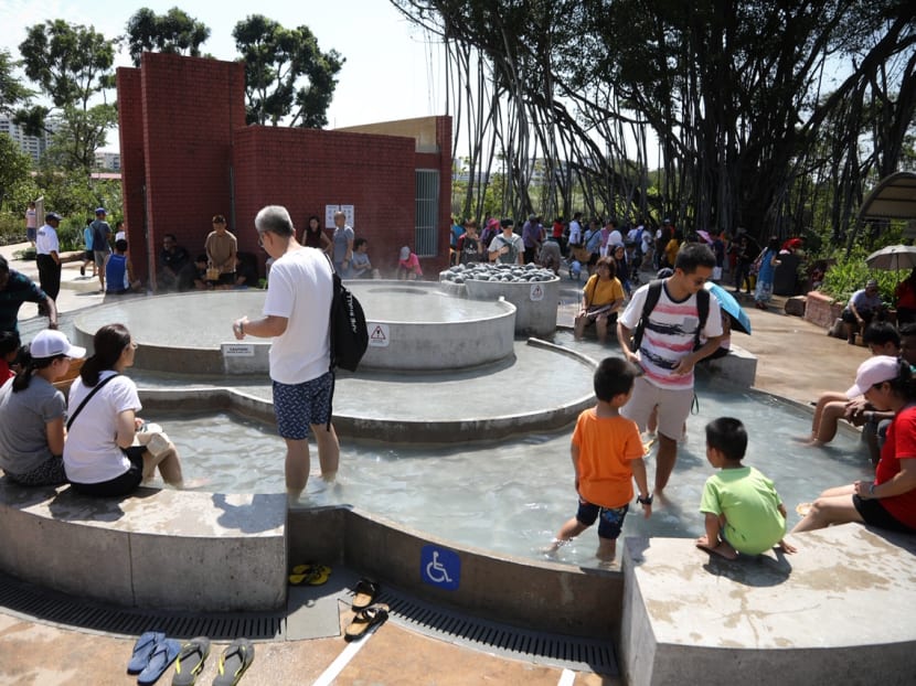 Experts have said that the hot springs located in Sembawang could be a potential source of geothermal energy. Experts have said that the hot springs located in Sembawang could be a potential source of geothermal energy.