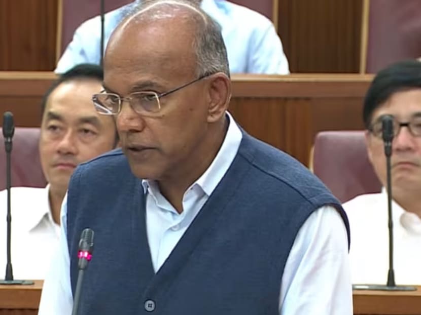 Law and Home Affairs Minister K Shanmugam delivering a ministerial statement in Parliament on May 8, 2024. Law and Home Affairs Minister K Shanmugam delivering a ministerial statement in Parliament on May 8, 2024.