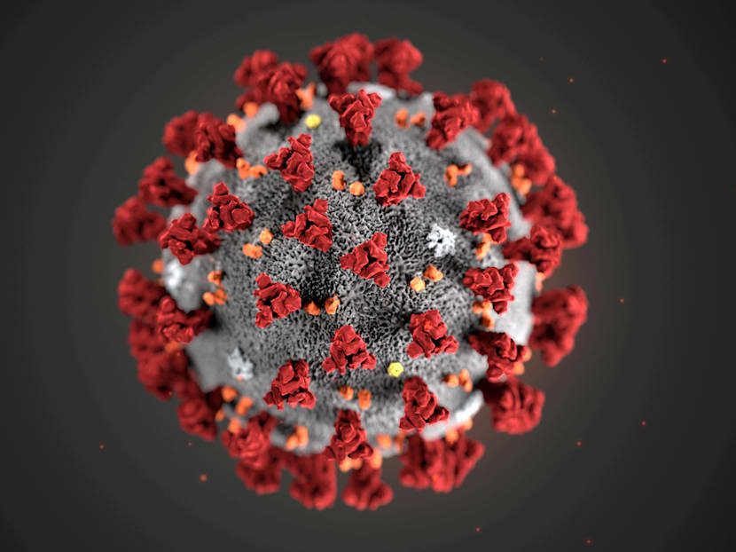 Has Covid-19 increased the risk of bioterrorism?