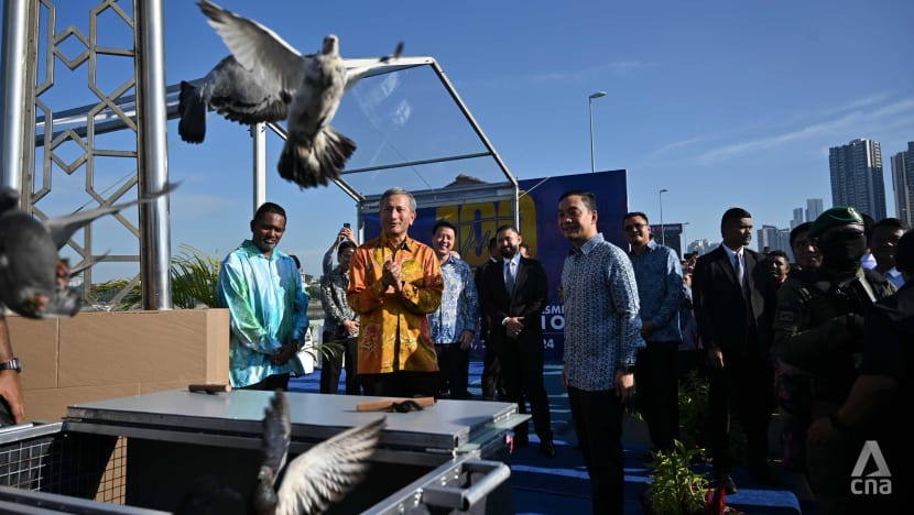 Related article image